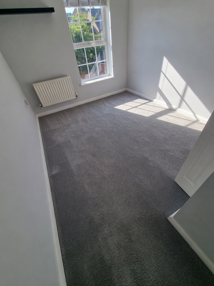 A sunlit room after a professional carpet clean