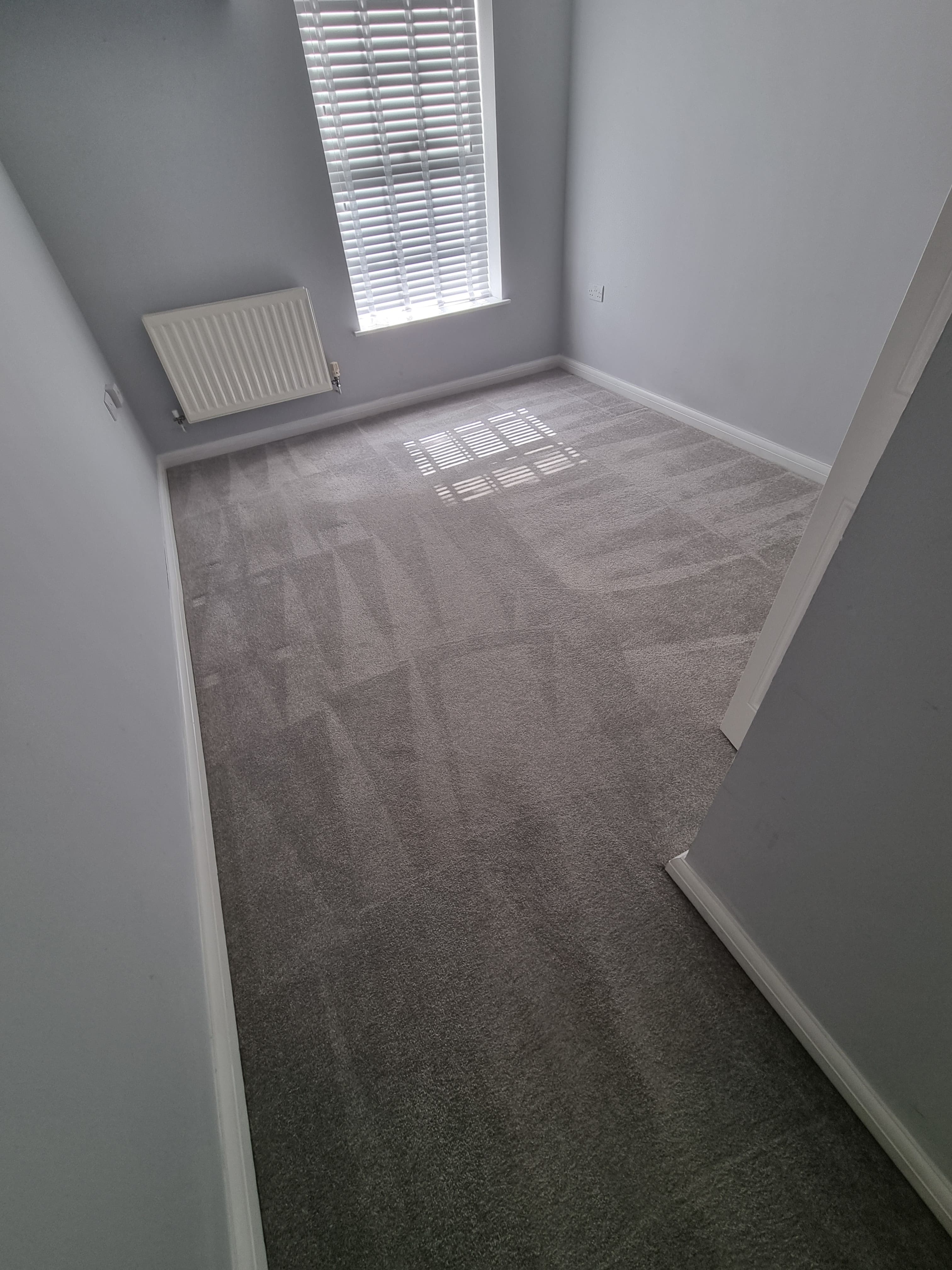 A room carpet after a professional clean